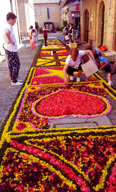 Preparazione dell'infiorata,  un tappeto di fiori sul quale passerà la processione del Corpus Domini, in  un paese delle Marche.
