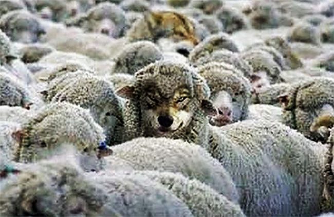 Lupi rapaci in veste di pecore